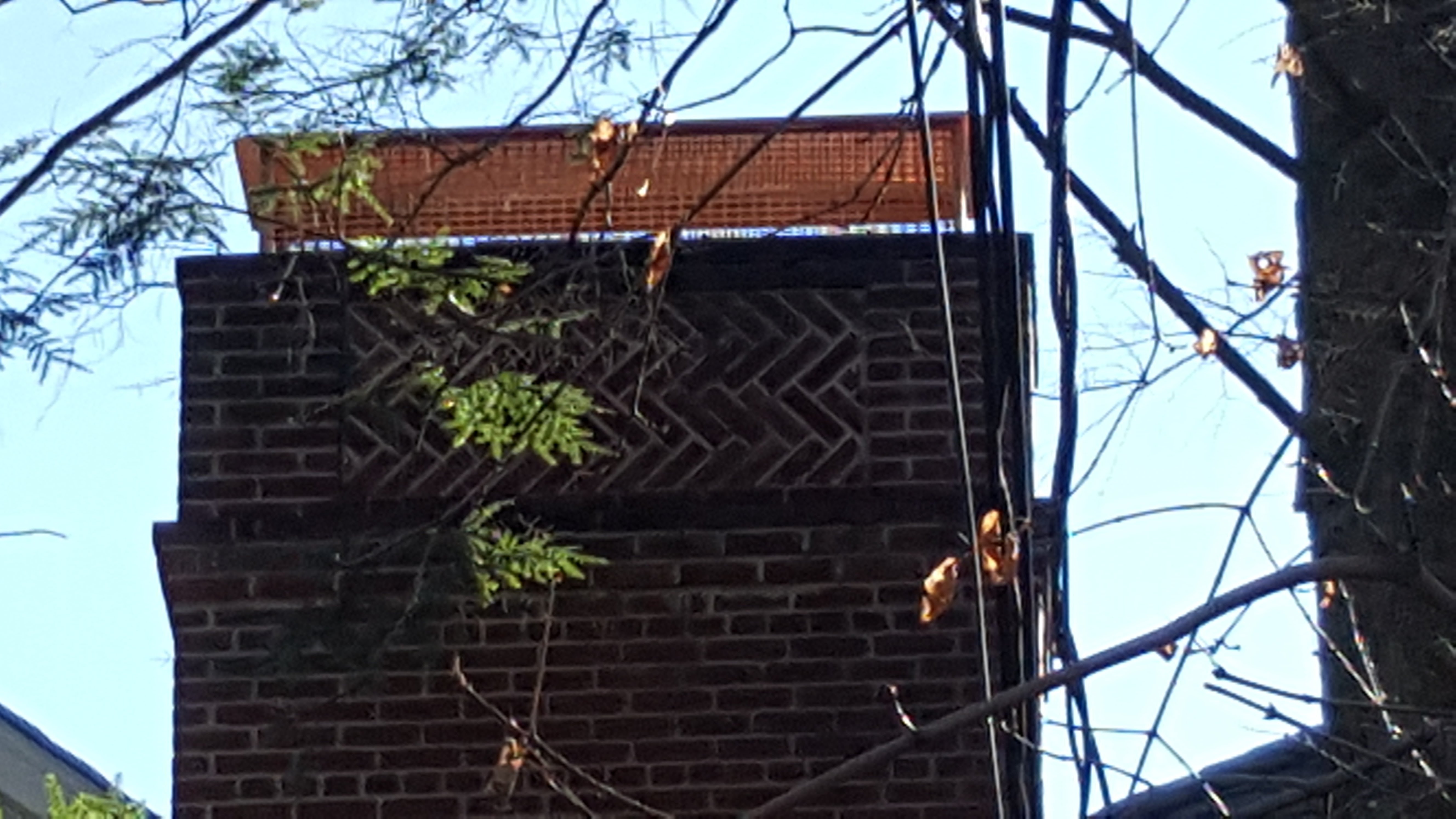 Animal-proof chimney cap protecting home in Merrick, New York